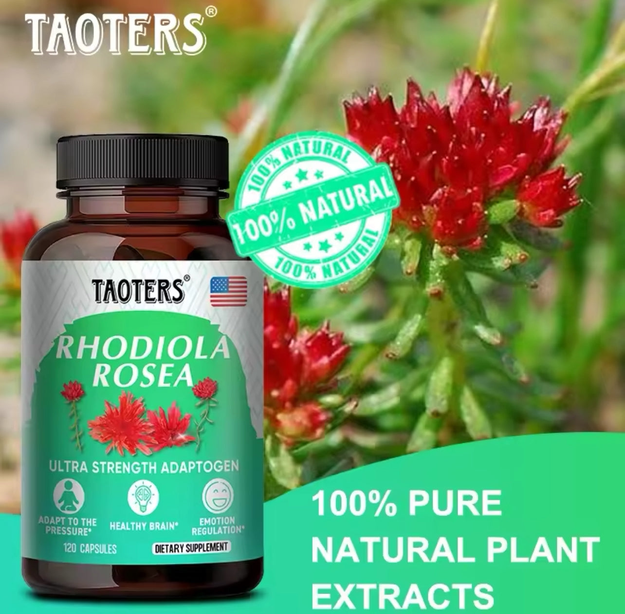 Organic rhodiola rosea capsules