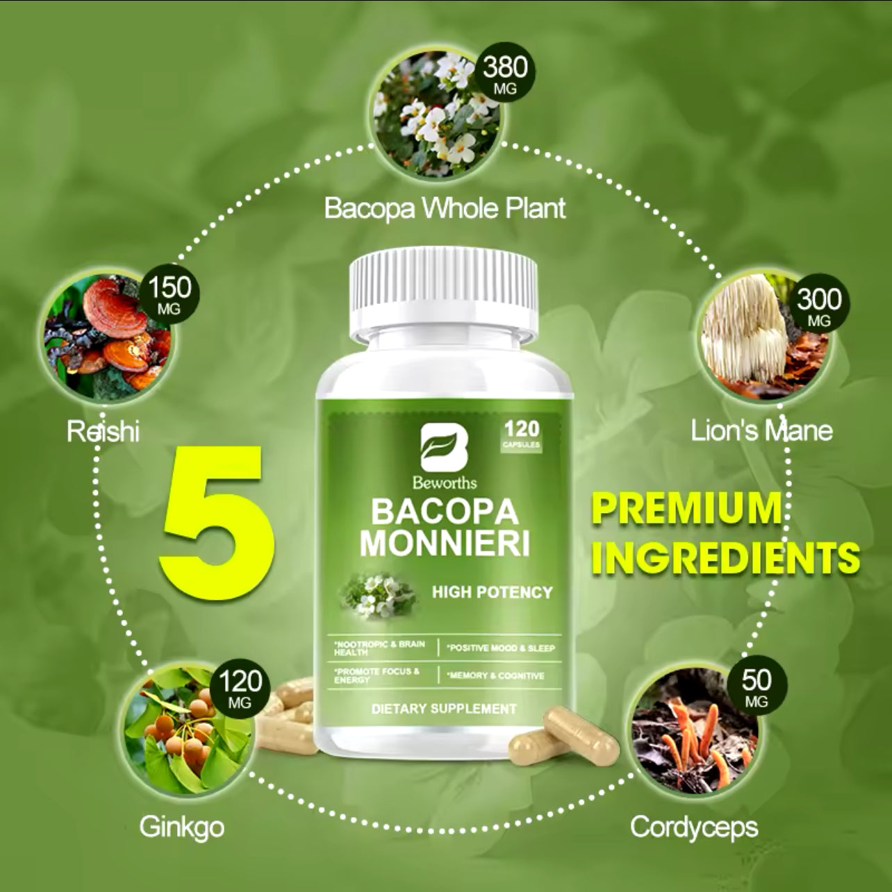 Ultimate Brain Boost