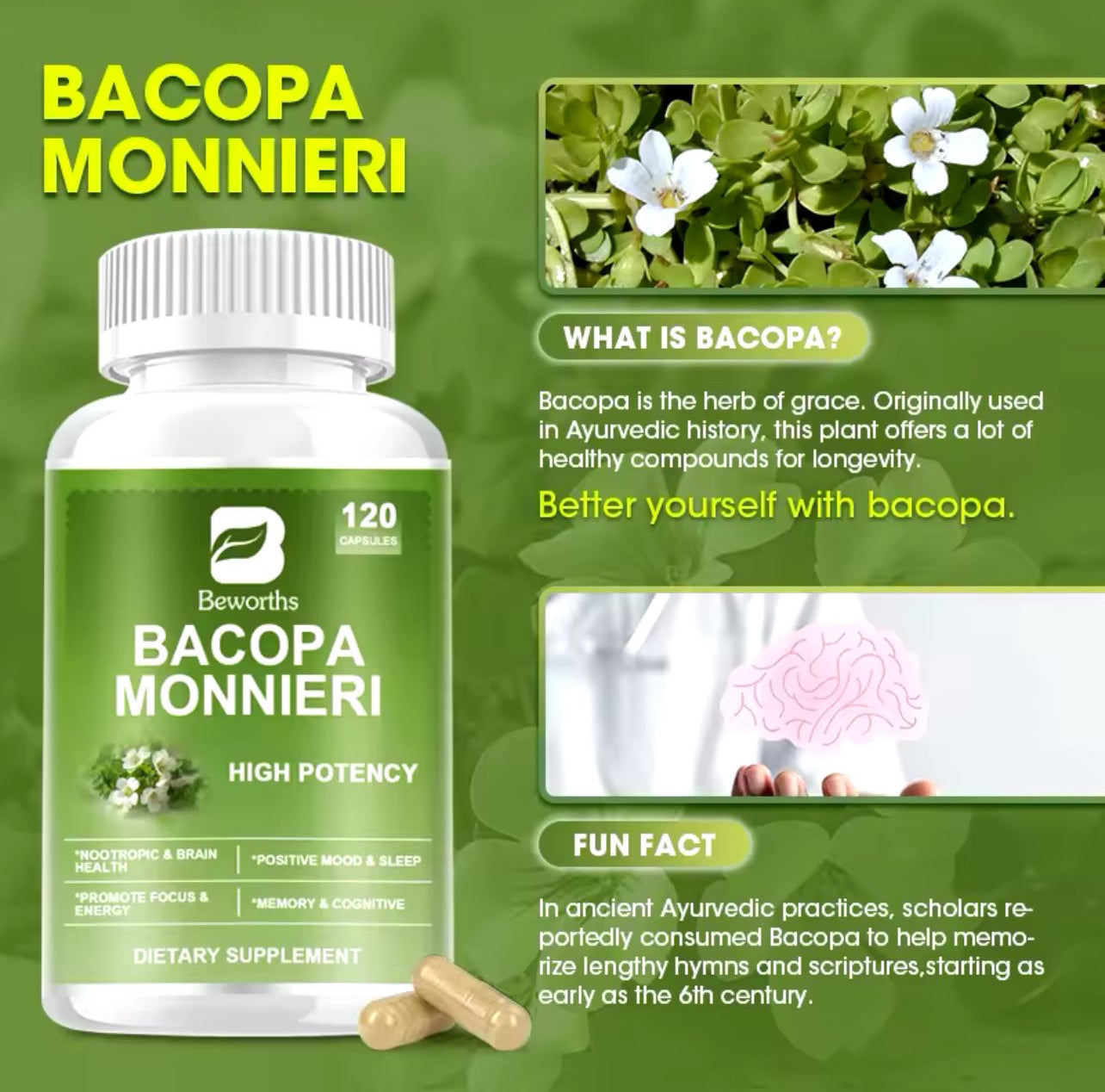 Organic bacopa monnieri capsules